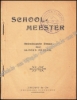 Afbeeldingen van Schoolmeester. Hedendaagse roman