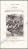 Afbeeldingen van Histoire Naturelle des Oiseaux, des Reptiles et des Poissons