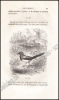 Afbeeldingen van Histoire Naturelle des Oiseaux, des Reptiles et des Poissons