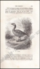 Afbeeldingen van Histoire Naturelle des Oiseaux, des Reptiles et des Poissons