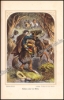 Afbeeldingen van Der erste und älteste Robinson. Robinson Crusoe des Älteren Reisen, wunderbare Abenteuer und Erlebnisse