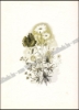 Afbeeldingen van Esso Magazine. Jrg 5, Nr. 1, januari 1957. Bloemen