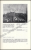 Afbeeldingen van Schatten voor Brugge: Stedelijke musea Brugge aanwinsten 1966-1972